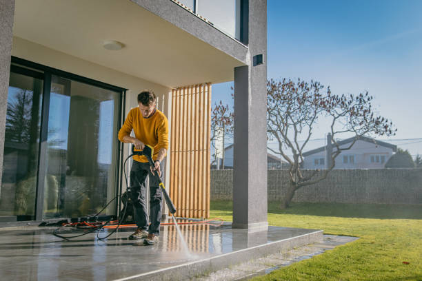 Best Solar Panel Cleaning  in Ferris, TX